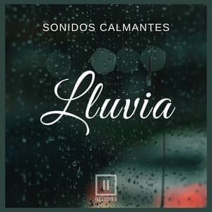 Sonidos Calmantes: Lluvia - Para Dormir