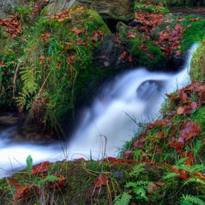 Relaxing Music: Zen by the Water's Edge - Relaxing and Calming