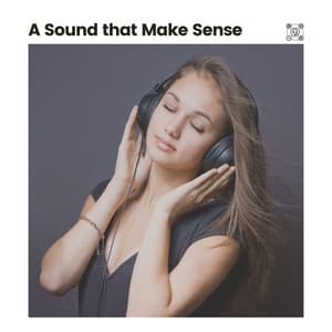 A Sound That Make Sense - Amazing Spa Music
