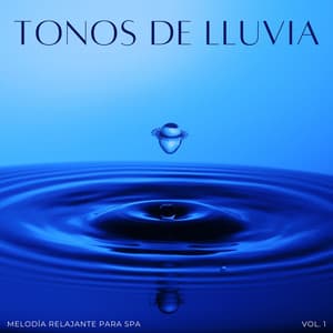 Tonos De Lluvia: Melodía Relajante Para Spa Vol. 1 - Atmósferas de Lluvia