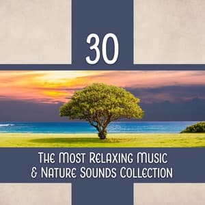 30 The Most Relaxing Music & Nature Sounds Collection – Listen and Relax Deeply, New Age Calming Tracks - Relaxing Music Pro Effects Unlimited
