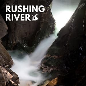 Rushing River - Florida Nature