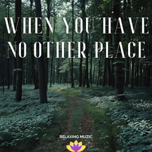 When You Have No Other Place - Relaxing Muzic