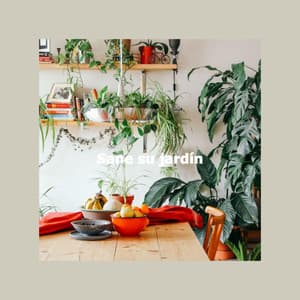 Sane su jardín - New York Jazz Bar