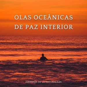 Olas Oceánicas De Paz Interior: Armonía De La Naturaleza - Registradores de campo al aire libre