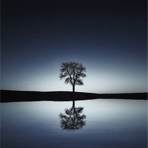 50 Peaceful Melodies for Absolute Peace and Relaxation - Musique Zen Garden