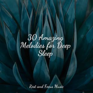 30 Amazing Melodies for Deep Sleep - Zen Music Garden