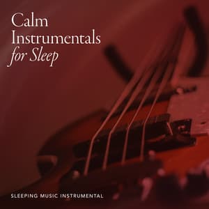 Calm Instrumentals for Sleep - Sleeping Music Instrumental