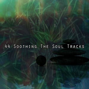 44 Soothing The Soul Tracks - Zen Meditation and Natural White Noise and New Age Deep Massage