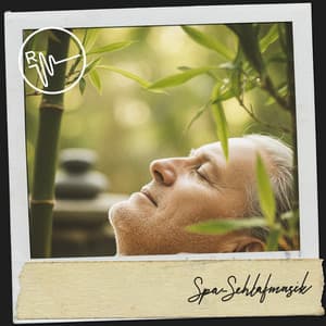Spa-Schlafmusik: Zen-Wiegenlieder für erholsame Nächte - Música Relajante Para Leer