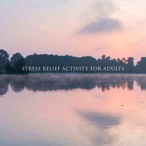 Stress Relief Activity for Adults: Rain Sounds for Natural Stress Relief - Relaxing Nature Sounds Collection