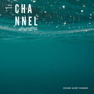 Ocean Sleep Sounds - Sea Noise Channel