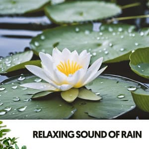 Study & Work Music: Symphony of Serenity - Relajacion