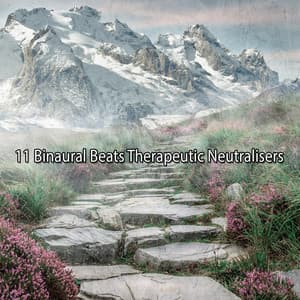 11 Binaural Beats Therapeutic Neutralisers - Binaural Beat Brainwave Subliminal Systems