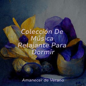 Colección De Música Relajante Para Dormir - Lounge Music Café