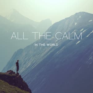 All the Calm in the World - Musician of The World