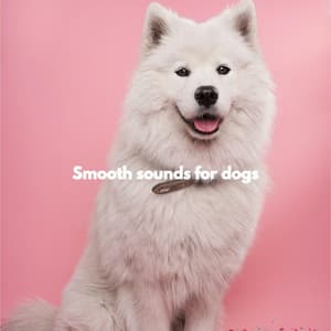 Smooth sounds for dogs - Musik Gitar Santai Orkestra