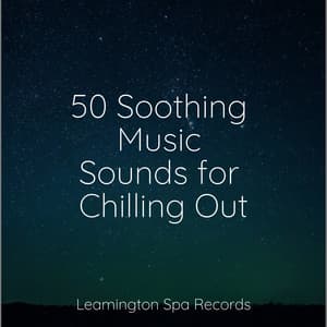 50 Soothing Music Sounds for Chilling Out - Binaural Creations