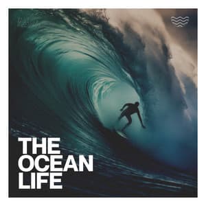 The Ocean Life - ASMR Earth