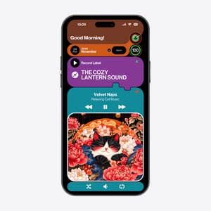 Velvet Naps - Relaxing Cat Music