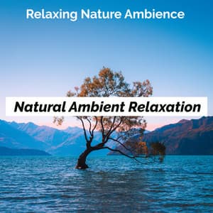 Natural Ambient Relaxation - Relaxing Nature Ambience