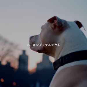 バーキング・チルアウト - Jazz Playlist Cafe