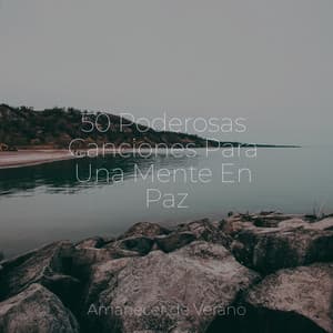 50 Poderosas Canciones Para Una Mente En Paz - Canciones Infantiles de Niños