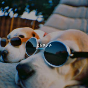 犬とランチ - Soft Jazz & Coffee