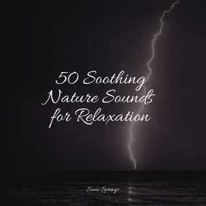 50 Soothing Nature Sounds for Relaxation - Tinnitus Aid