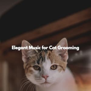 Elegant Music for Cat Grooming - Playlist Musica para Leer