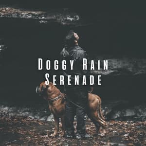 Doggy Rain Serenade: Chill Sounds for Peaceful Pups - Rain Sound Experience