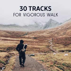30 Tracks for Vigorous Walk - Chillout Music to Improve Body Condition, Walking Exercises for Being in Good Shape & Health, Calm Your Mind - Healthy Lifestyle Club