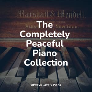 50 Relaxing Piano Classics for Stress Relief - Los Pianos Barrocos