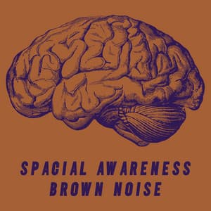 Spacial Awareness Brown Noise - Brown Noise Baby