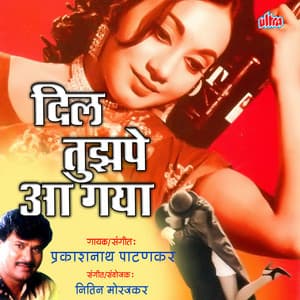 Dil Tujhpe Aa Gaya - Nitin Morajkar