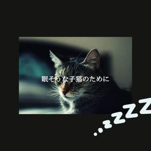 眠そうな子猫のために - Bebop Jazz