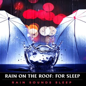 Rain on the Roof: For Sleep - Rain Sounds Sleep