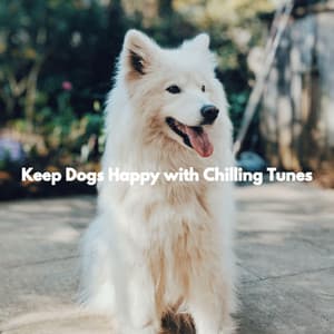 Keep Dogs Happy with Chilling Tunes - Coffee Morning Jazz Deluxe