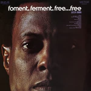 Foment, Ferment, Free... Free - Leon Bibb