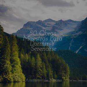 50 Obras Maestras Para Dormir Y Serenarse - Meditación Interna