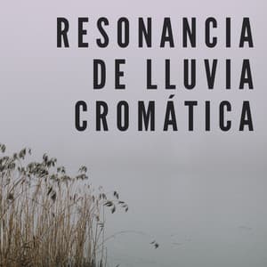 Resonancia De Lluvia Cromática - Efectos especiales de lluvia del bosque