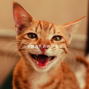 子猫のためのジャズ - Classic Jazz Music