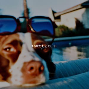 いぬたちとの一日 - Study Time