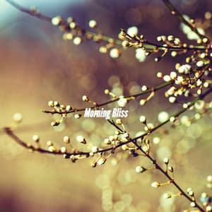 Morning Bliss - Toronto Coffee Shop Jazz