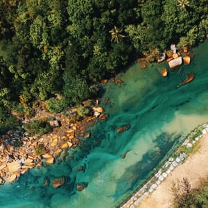 Calm Oasis: Relaxation by River's Serene Shelter - Relaxing Music Channe