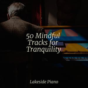 50 Mindful Tracks for Tranquility - SD