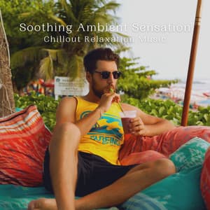 Soothing Ambient Sensation: Chillout Relaxation Music - Relaxing Collection