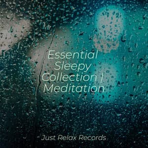 Essential Sleepy Collection | Meditation - Natural Sounds