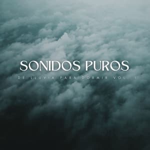 Sonidos Puros De Lluvia Para Dormir Vol. 1 - Lluvia para dormir profundamente