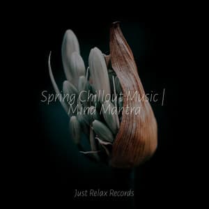 Spring Chillout Music | Mind Mantra - Binaural Beats Brainwave Entrainment